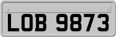 LOB9873