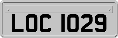 LOC1029
