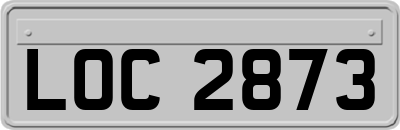 LOC2873