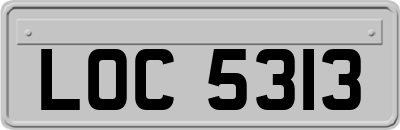LOC5313