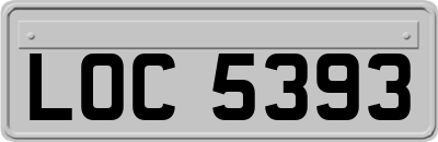 LOC5393