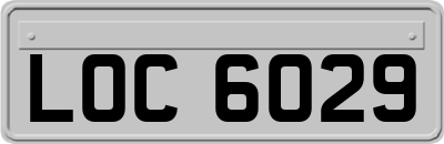 LOC6029