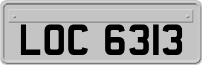 LOC6313