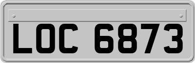 LOC6873