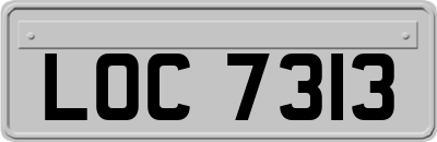 LOC7313