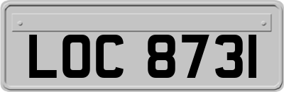 LOC8731