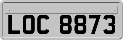 LOC8873