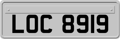 LOC8919