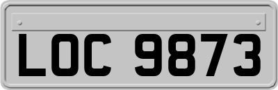 LOC9873