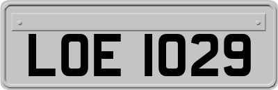 LOE1029