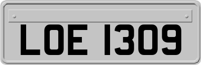 LOE1309