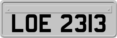 LOE2313