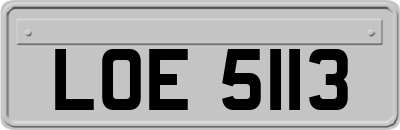 LOE5113