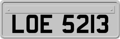 LOE5213
