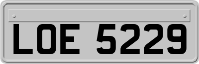 LOE5229