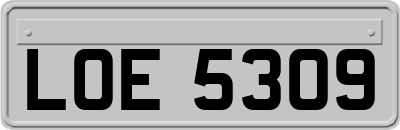 LOE5309