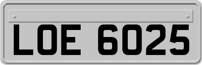 LOE6025