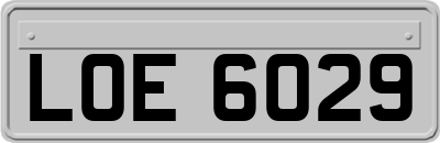 LOE6029