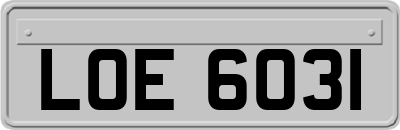 LOE6031