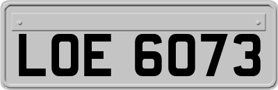 LOE6073