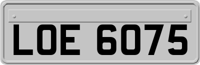 LOE6075