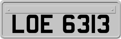 LOE6313
