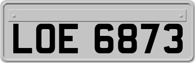 LOE6873