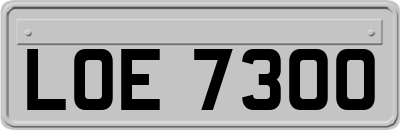 LOE7300