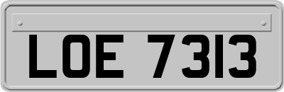 LOE7313