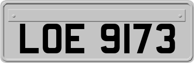LOE9173