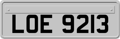 LOE9213