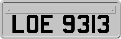 LOE9313