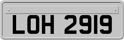 LOH2919