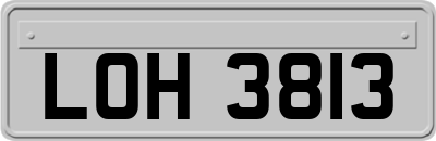 LOH3813