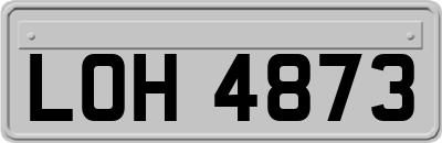 LOH4873