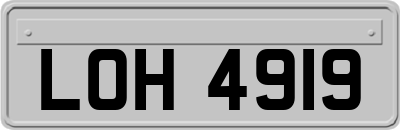 LOH4919