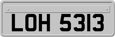 LOH5313