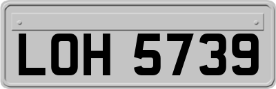 LOH5739