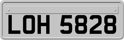 LOH5828