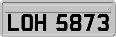 LOH5873