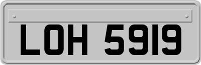 LOH5919