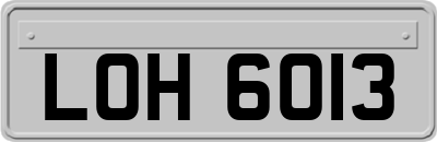 LOH6013