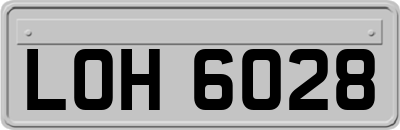 LOH6028