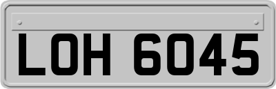 LOH6045