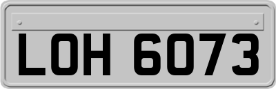 LOH6073