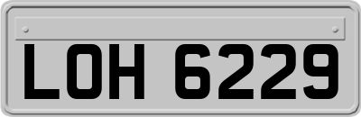 LOH6229