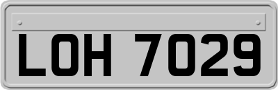 LOH7029