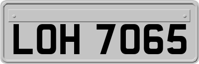 LOH7065