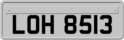 LOH8513