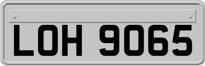 LOH9065